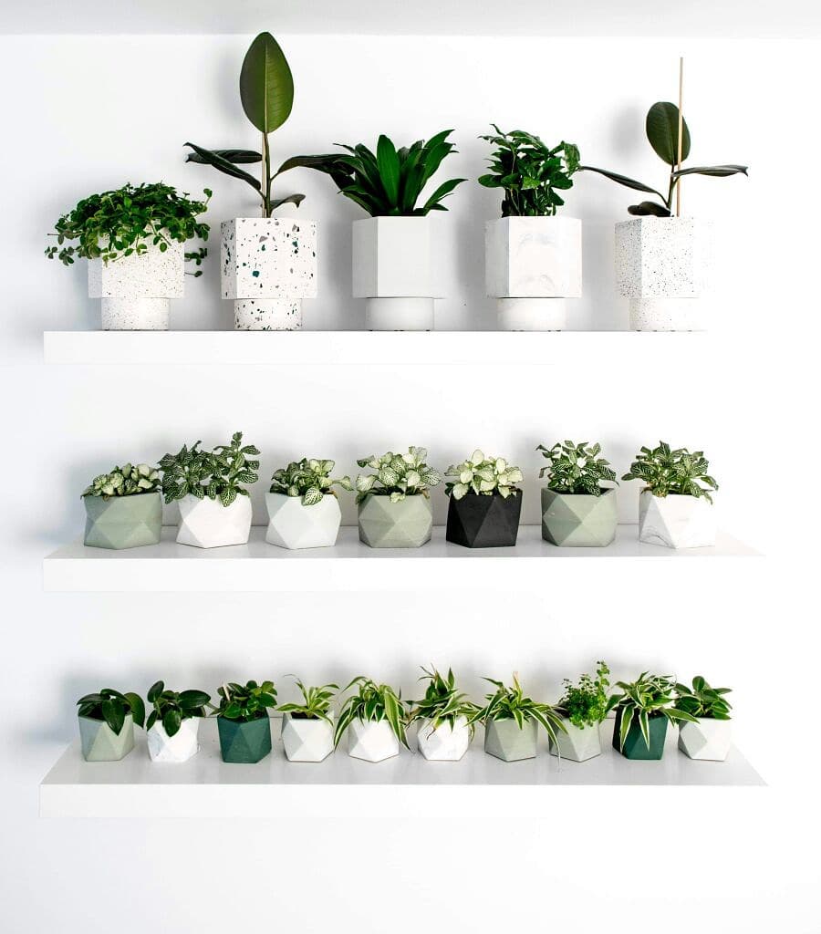 Indoor Plant Pots - 5 tips for getting it right.
