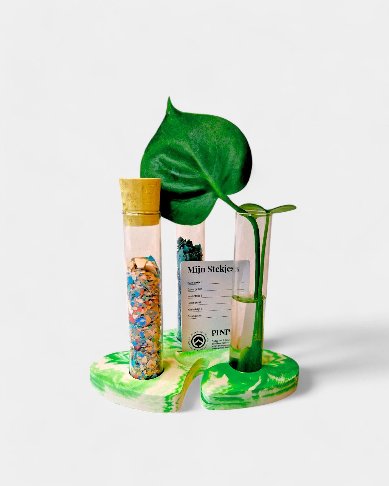 DIY Box - Terrazzo cardholder MONSTERA DIY Boxen House Raccoon