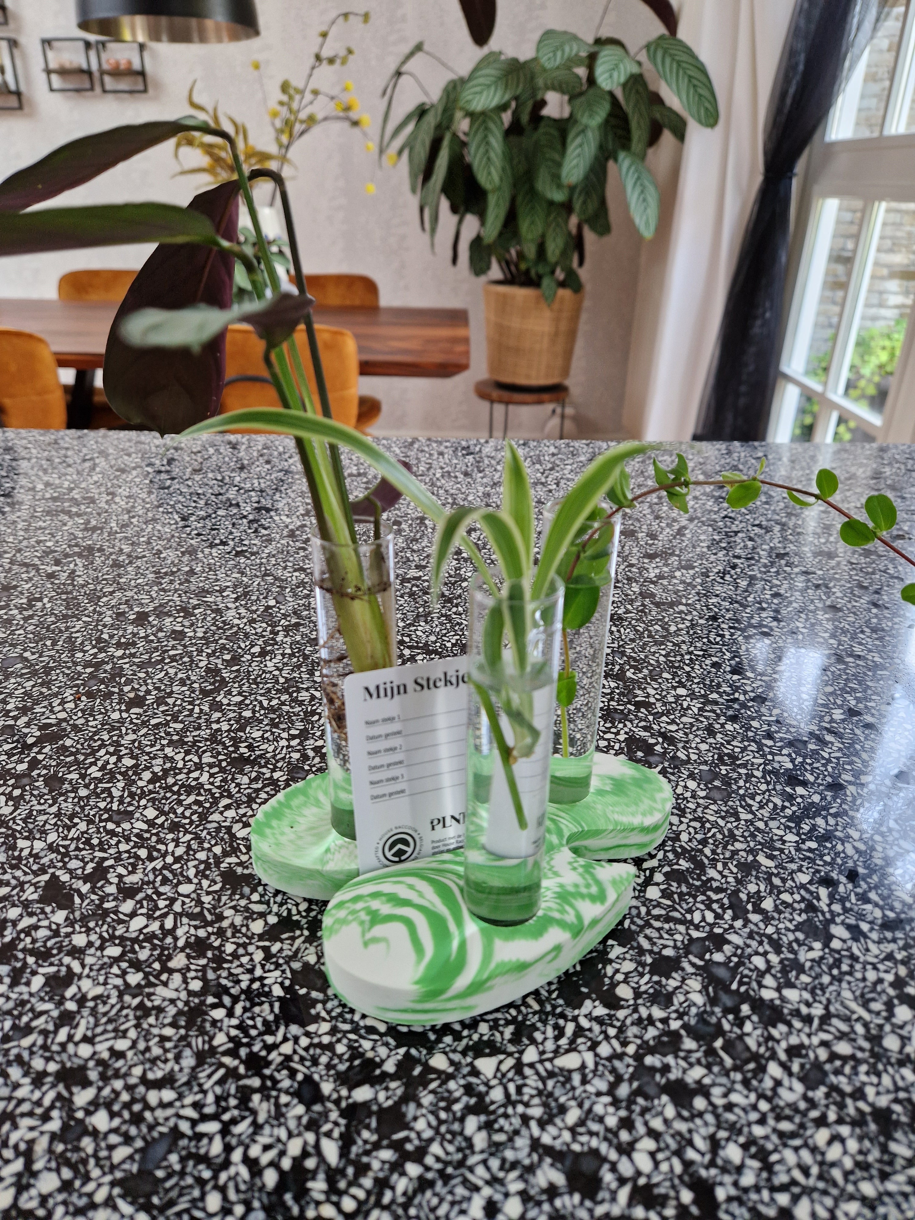 DIY Box - Terrazzo cardholder MONSTERA DIY Boxen House Raccoon