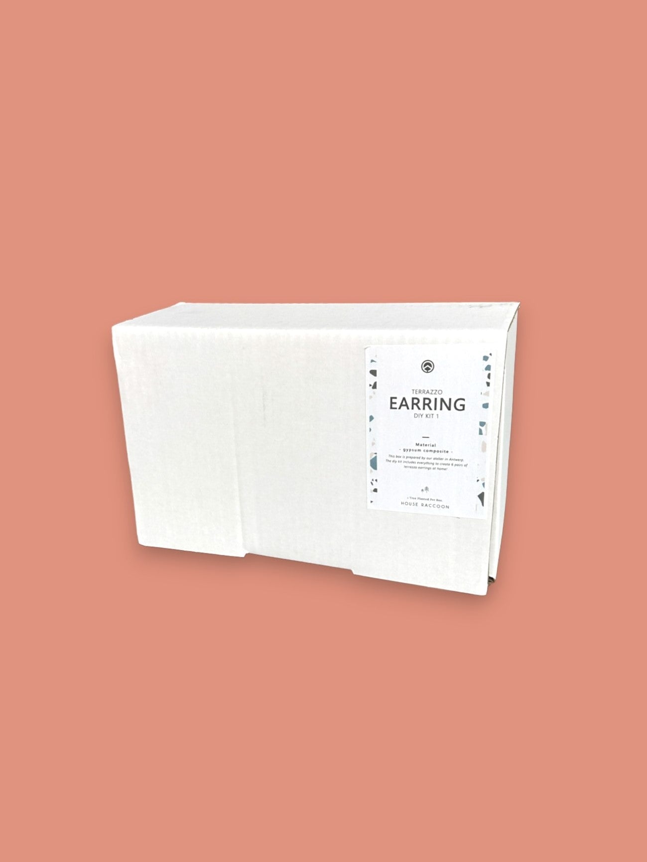 DIY Box - Terrazzo Oorbellen DIY House Raccoon