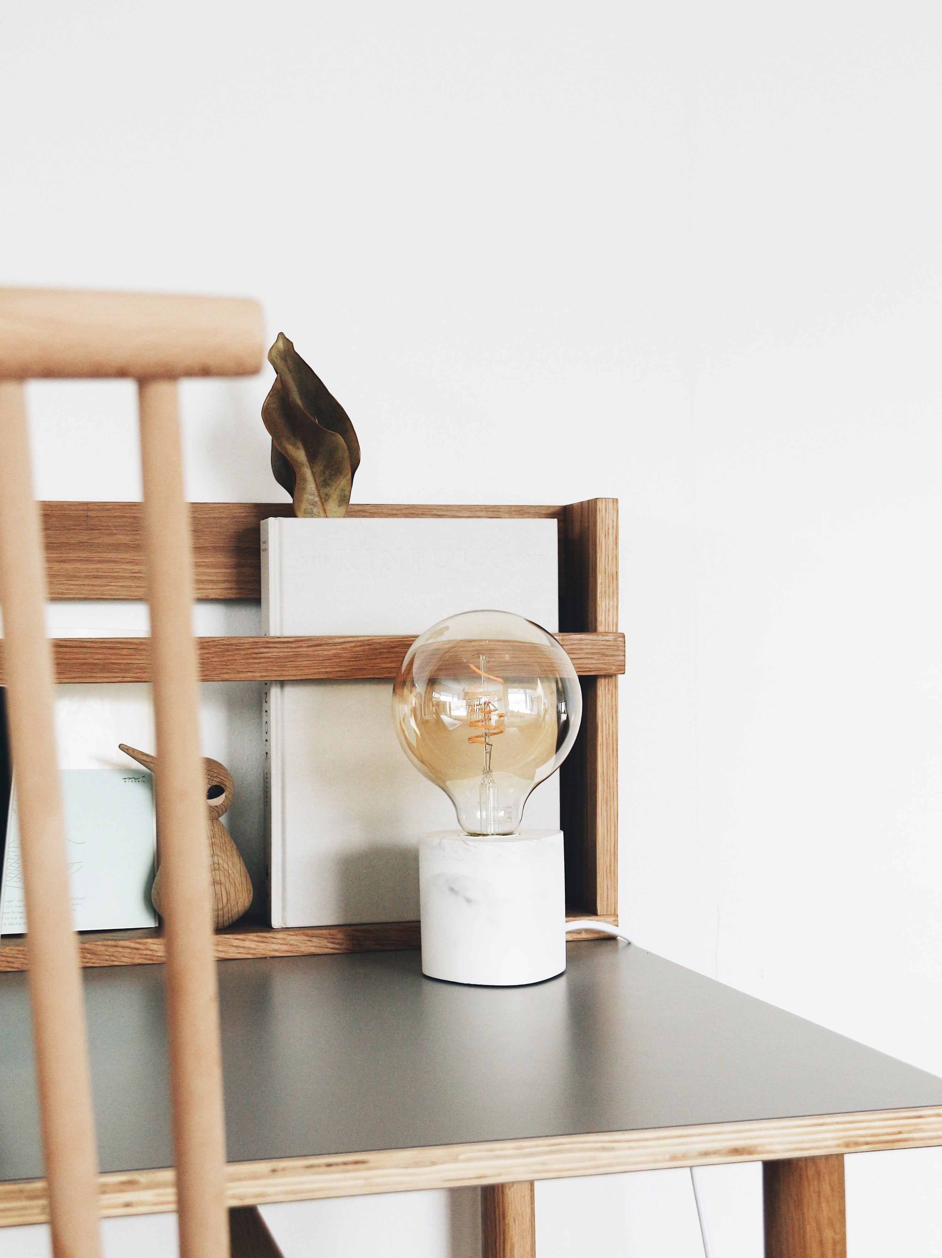 Lamp E27 Lampen House Raccoon