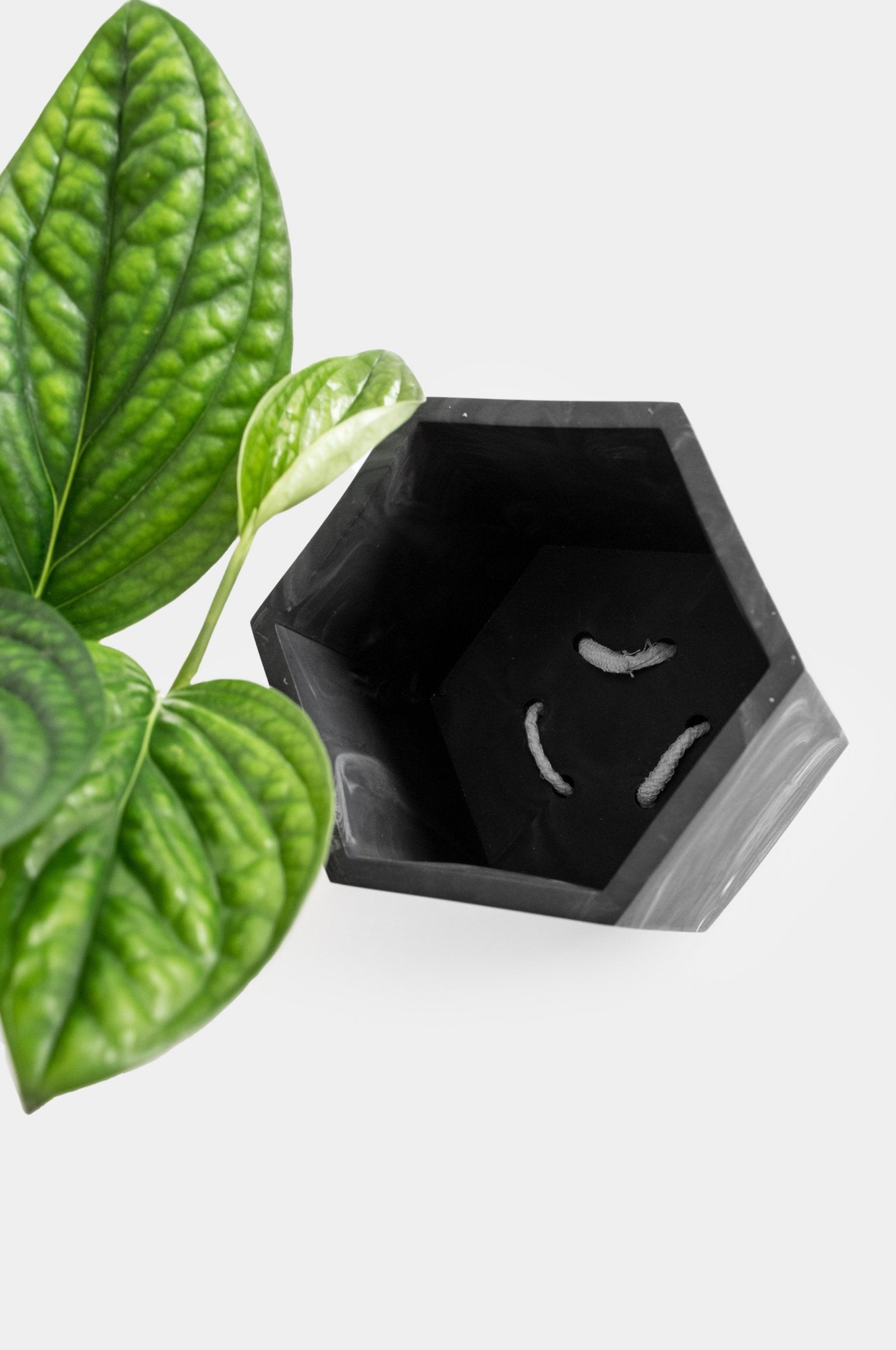 Pot Hapi Ø 12 cm - Zelfregulerend Potten en Vazen House Raccoon