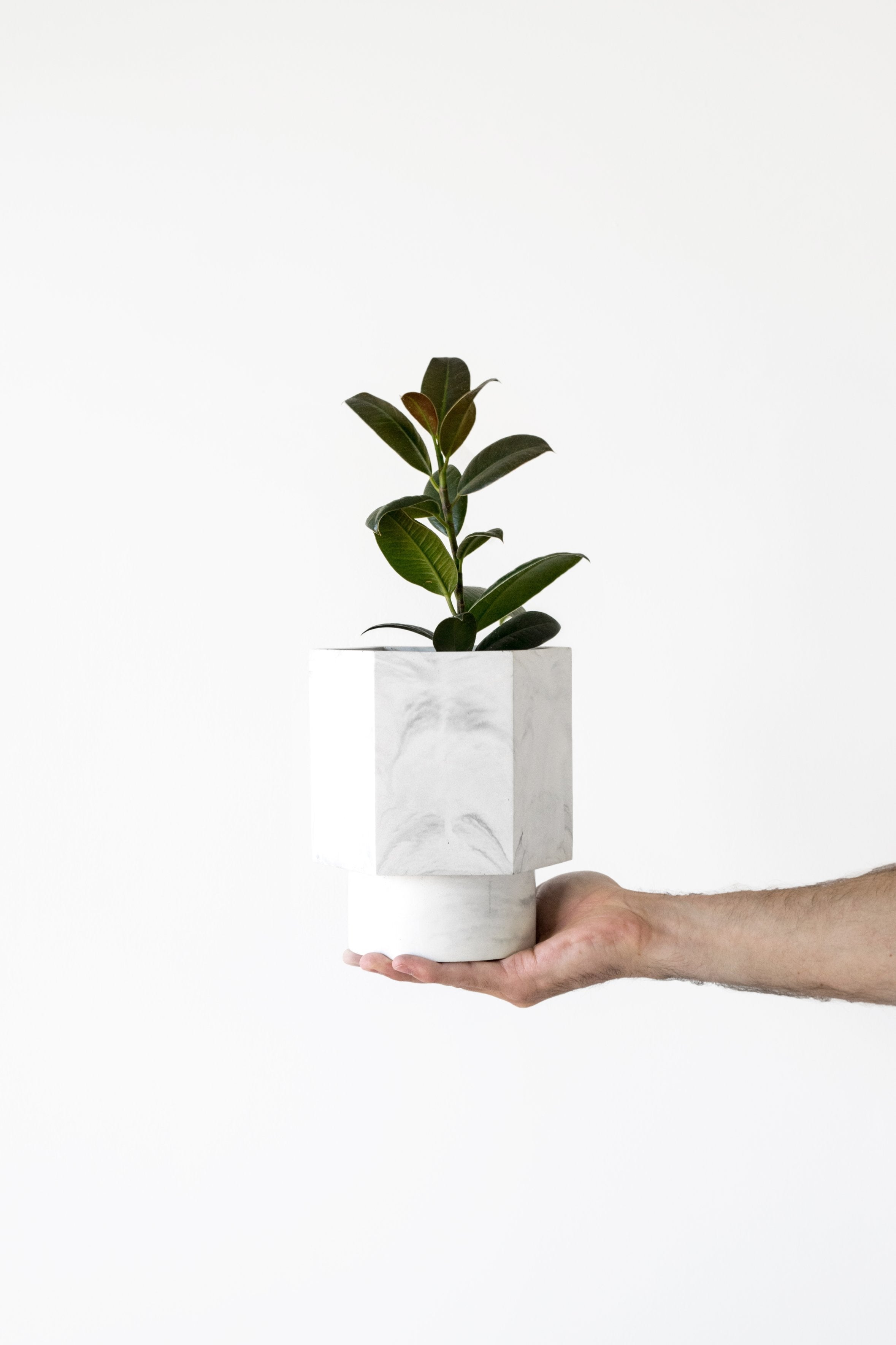 Pot Hapi Ø 12 cm - Zelfregulerend Potten en Vazen House Raccoon