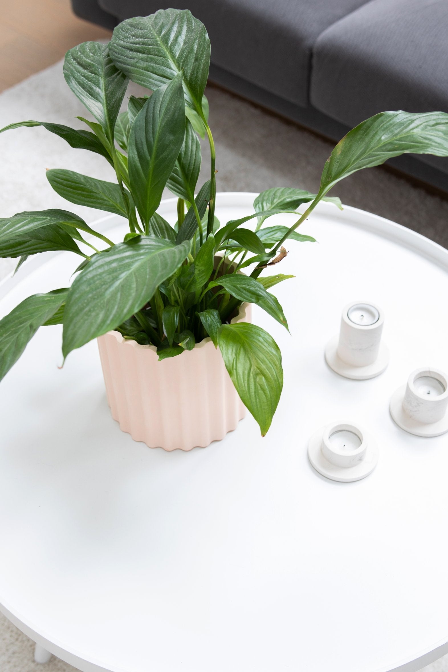 Pot Mila Ø 15 cm Potten en Vazen House Raccoon