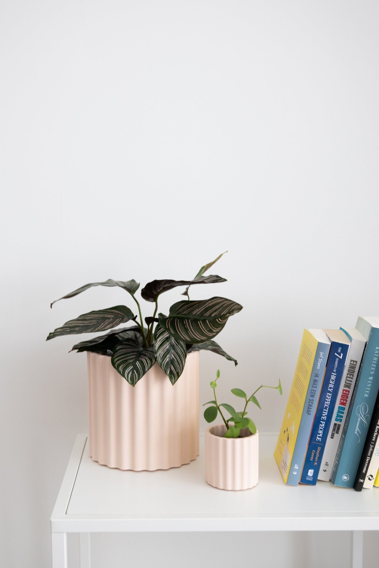 Pot Mila Ø 6 cm Potten en Vazen House Raccoon