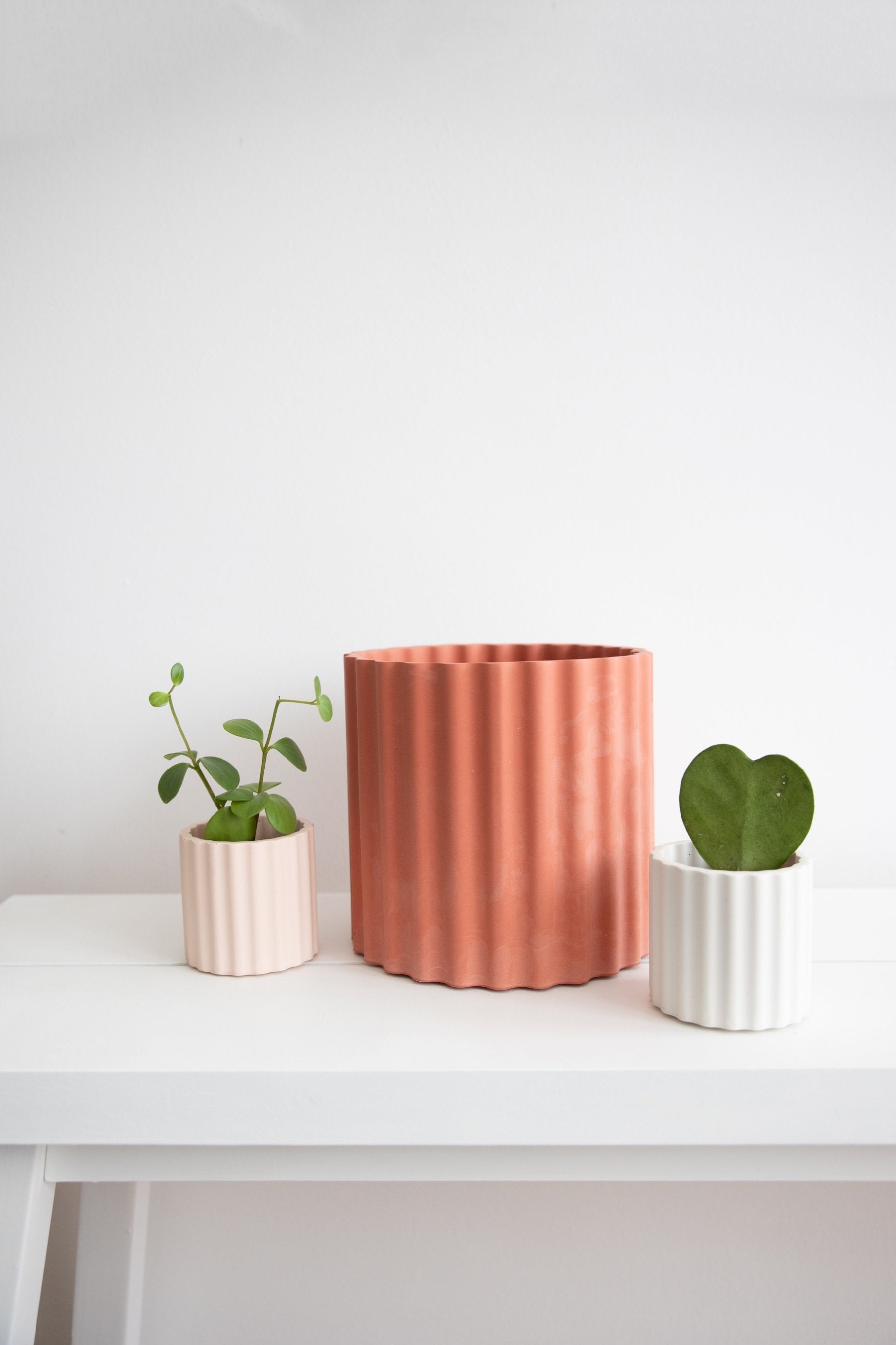 Pot Mila Ø 6 cm Potten en Vazen House Raccoon