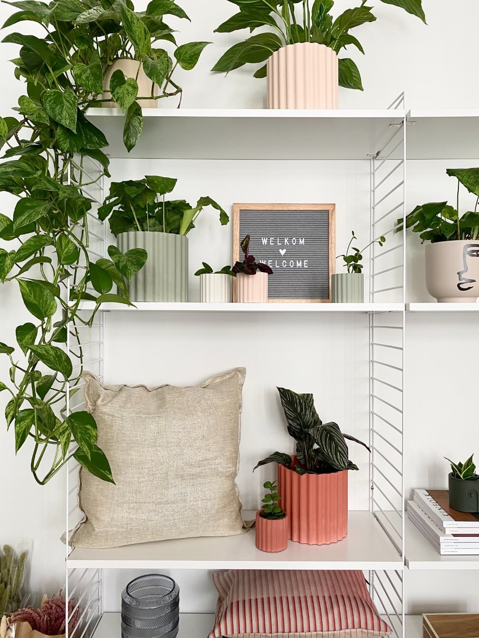 Pot Mila Ø 6 cm Potten en Vazen House Raccoon