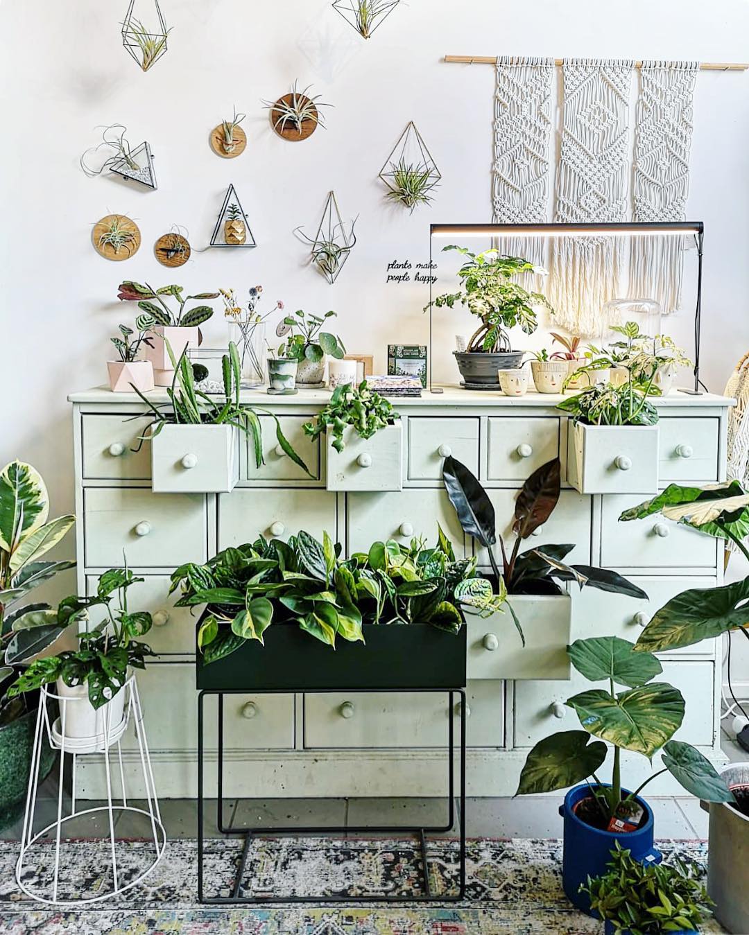 Plant store - the 5 best plant stores in Belgium.