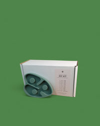 House Raccoon Pro Moulds DIY Boxen House Raccoon Cardholder MONSTERA 