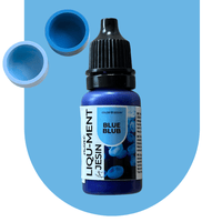 LIQU-MENTs voor JESIN® House Raccoon BV 10 ml BLUE BLUB 