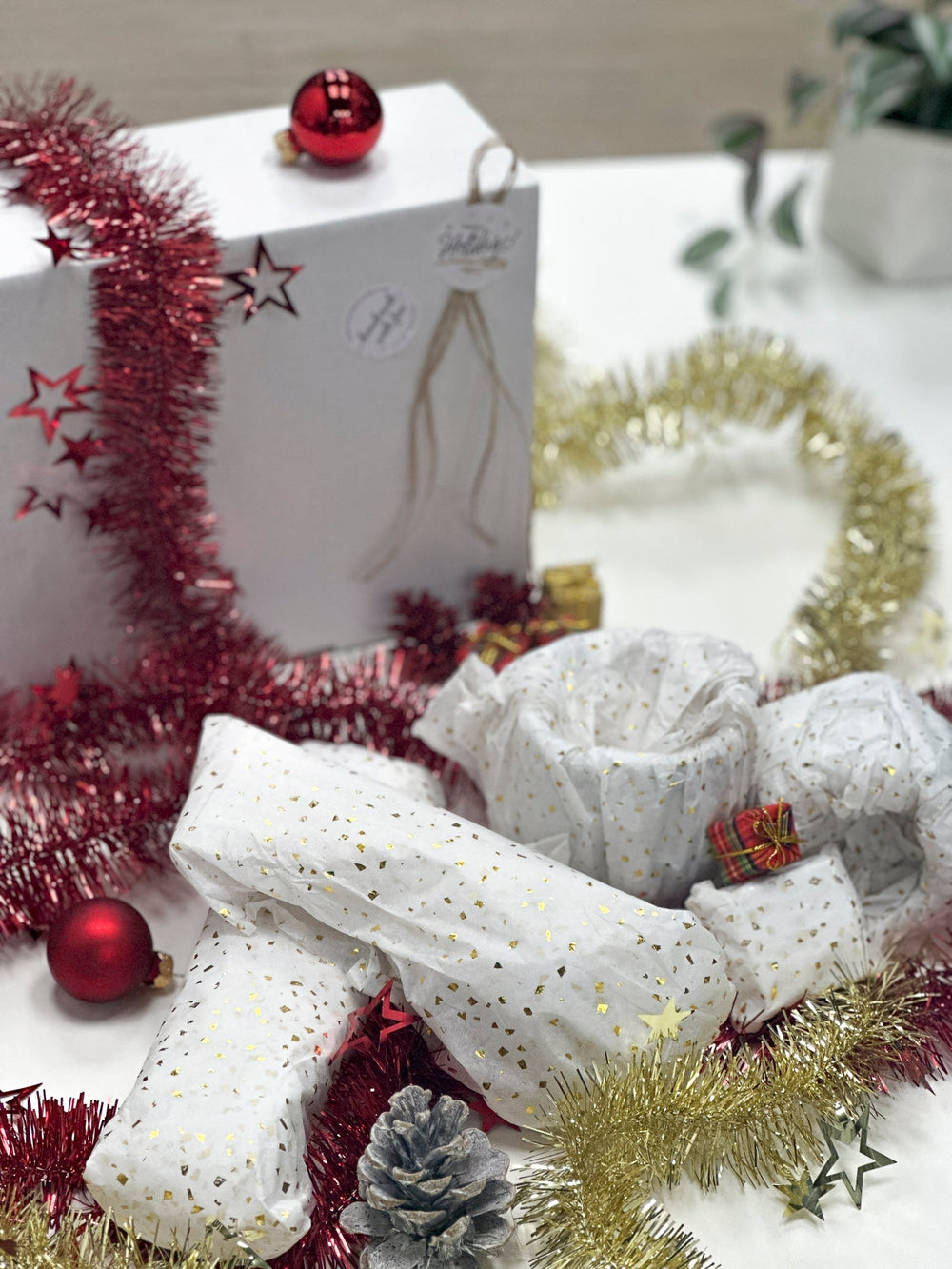 Surprise Box House Raccoon BV 