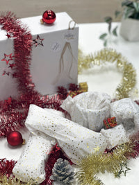 Surprise Box House Raccoon BV 