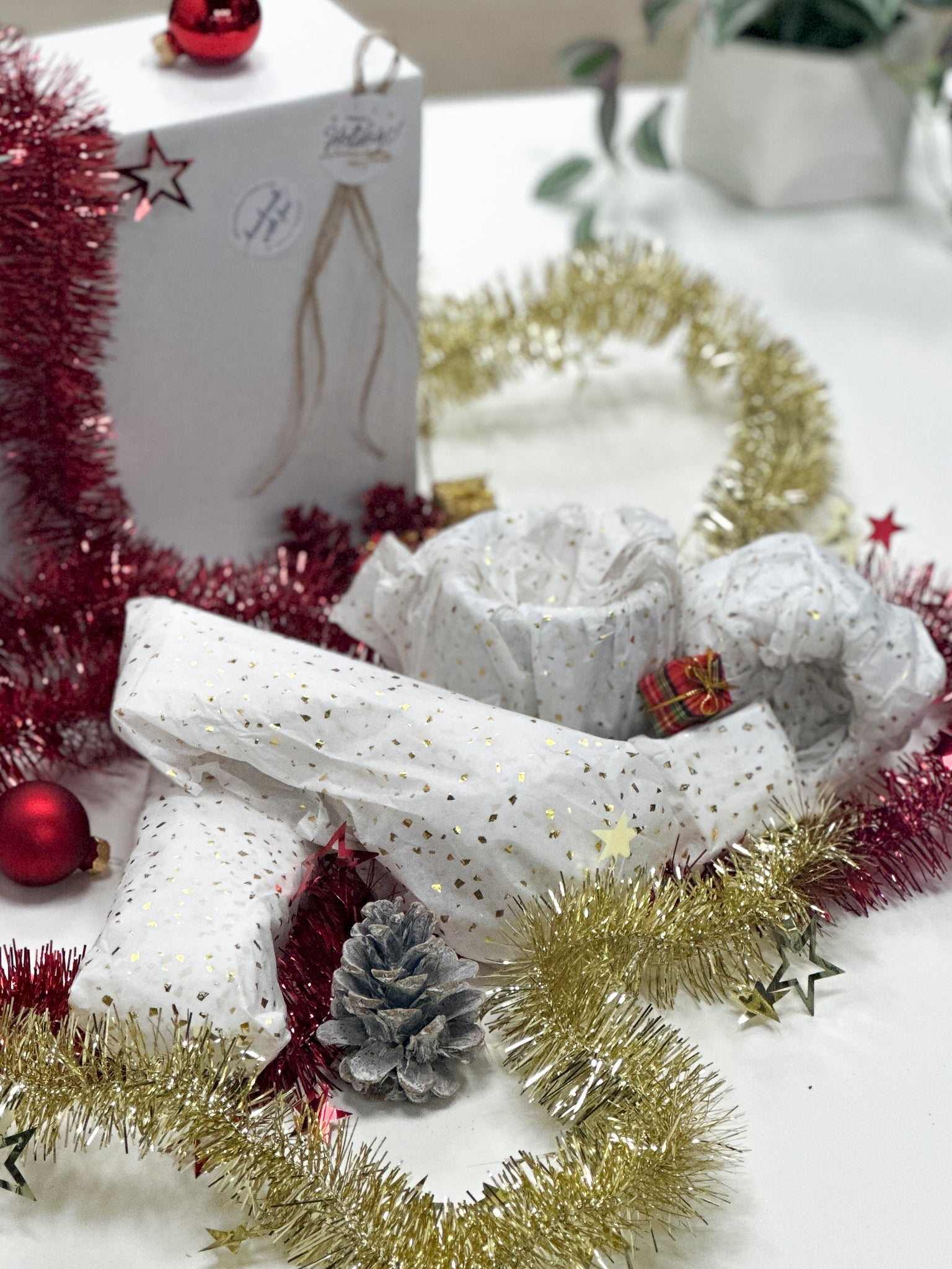 Surprise Box House Raccoon BV 