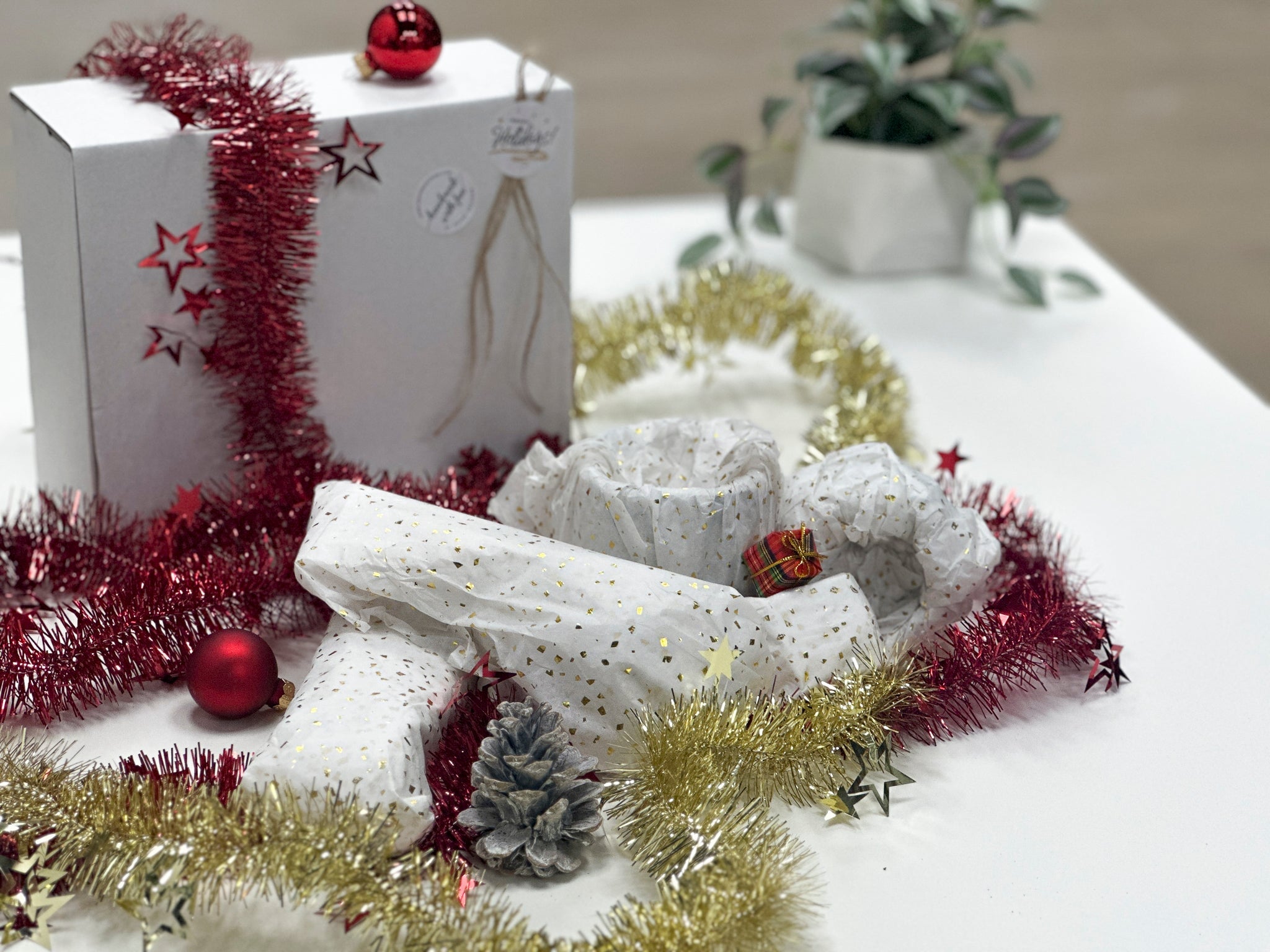 Surprise Box House Raccoon BV 