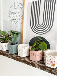 Workshop - Terrazzo Potten - Lochristi (BE) - 23/11/2023 Workshops House Raccoon 
